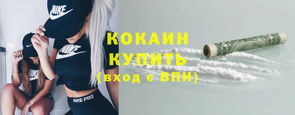 ГАЛЛЮЦИНОГЕННЫЕ ГРИБЫ Лагань