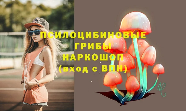 ГАЛЛЮЦИНОГЕННЫЕ ГРИБЫ Липки